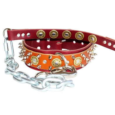 spiked shotgun shell collar and leash